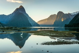 Heron-Milford-Sound
