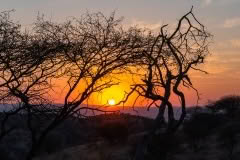 Mobile African Safari with Merubisi Safaris