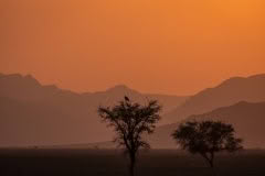 Mobile African Safari with Merubisi Safaris