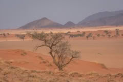 Mobile African Safari with Merubisi Safaris