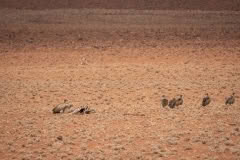 Mobile African Safari with Merubisi Safaris