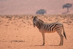 Mobile African Safari with Merubisi Safaris