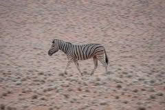 Mobile African Safari with Merubisi Safaris