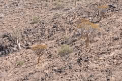 Mobile African Safari with Merubisi Safaris