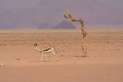 Mobile African Safari with Merubisi Safaris