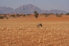 Mobile African Safari with Merubisi Safaris