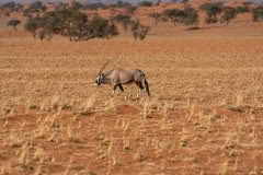 Mobile African Safari with Merubisi Safaris