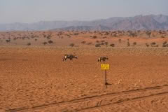 Mobile African Safari with Merubisi Safaris