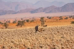 Mobile African Safari with Merubisi Safaris