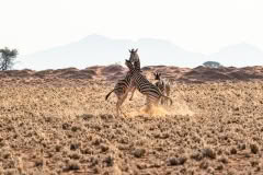 Mobile African Safari with Merubisi Safaris