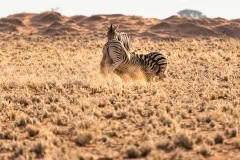 Mobile African Safari with Merubisi Safaris