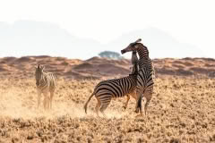 Mobile African Safari with Merubisi Safaris