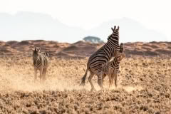 Mobile African Safari with Merubisi Safaris