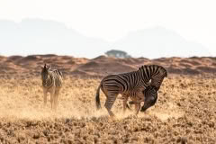 Mobile African Safari with Merubisi Safaris