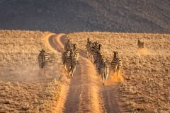 Mobile African Safari with Merubisi Safaris