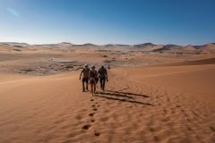 Mobile African Safari with Merubisi Safaris