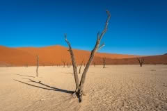 Mobile African Safari with Merubisi Safaris