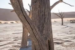 Mobile African Safari with Merubisi Safaris