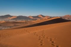 Mobile African Safari with Merubisi Safaris