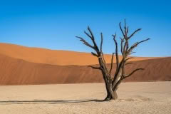 Mobile African Safari with Merubisi Safaris