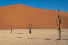 Mobile African Safari with Merubisi Safaris