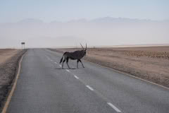 Mobile African Safari with Merubisi Safaris