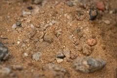 Mobile African Safari with Merubisi Safaris