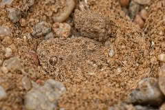 Mobile African Safari with Merubisi Safaris