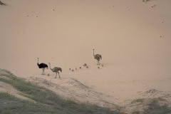 Mobile African Safari with Merubisi Safaris