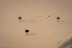 Mobile African Safari with Merubisi Safaris