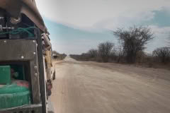 Road from Moremi