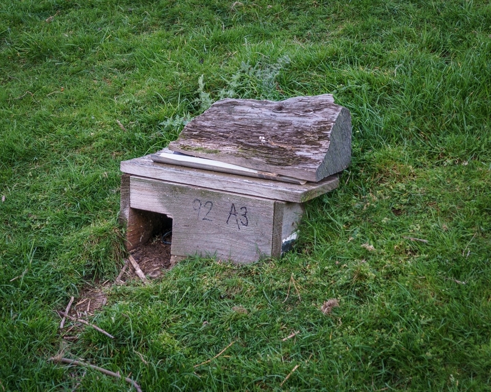 Penguin nesting box