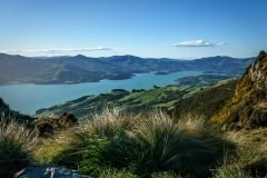 Akaroa views