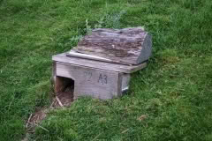 Penguin nesting box
