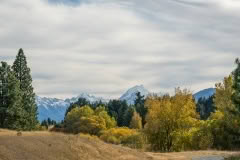 Twizel_Autumn-84