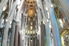 8.1495656663.5-sagrada-famillia