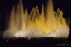 8.1495656663.fountain