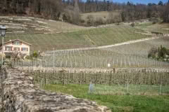 8.1463225448.1-village-in-yverdon-les-bains-area