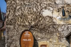 8.1463225448.village-in-yverdon-les-bains-area