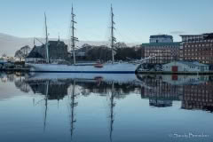 8.1495659887.1-morning-reflections