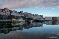 8.1495659887.morning-reflections