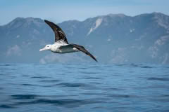 1_JanuaryEplore-1164