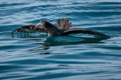 1_JanuaryEplore-1169