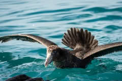 1_JanuaryEplore-1267