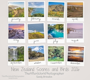New Zealand Scenes and Birds 2026 - 1