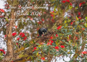 New Zealand Scenes and Birds 2026 - 2