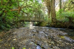 Purakaunui Falls