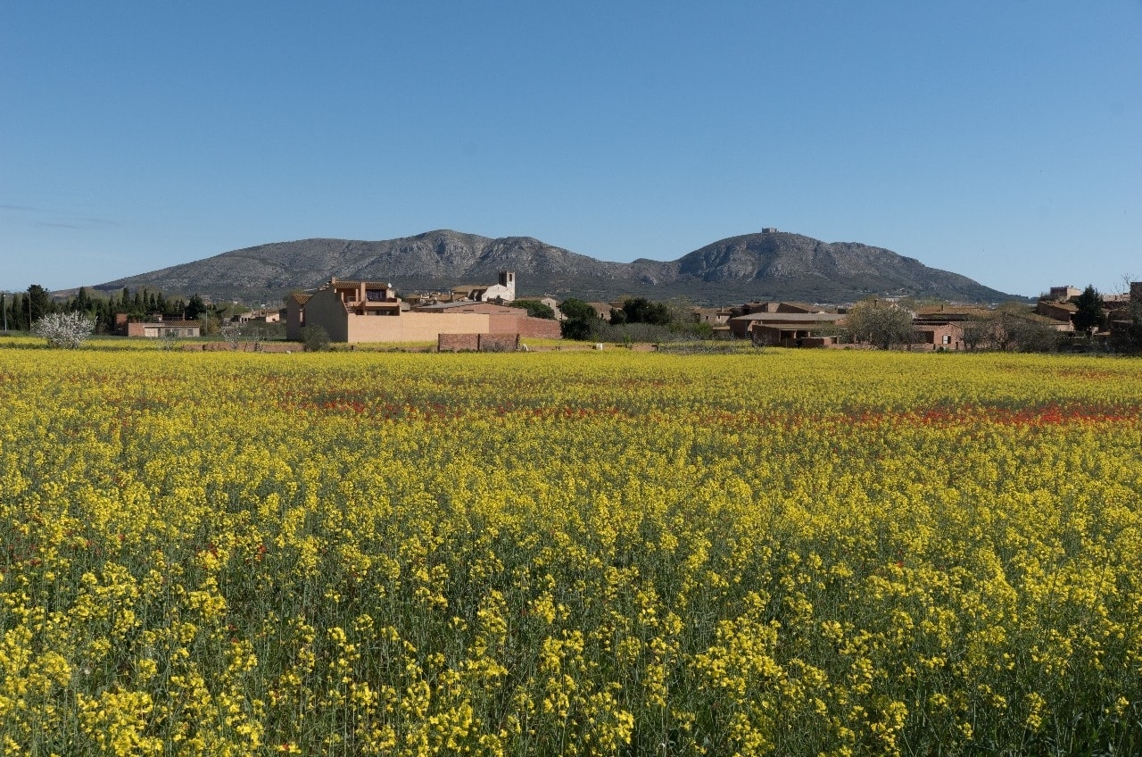 8.1460780973.more-amazing-fields-in-spring