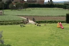 8.1460780973.view-from-the-balcony-complete-with-peacock