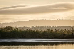 Okarito sunrise shades